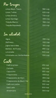 El Bejuco