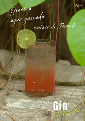 Foto 10 de El Bejuco